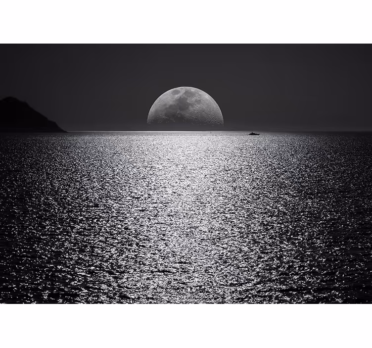 Fotomural mar vista iluminada por la luna - TenVinilo