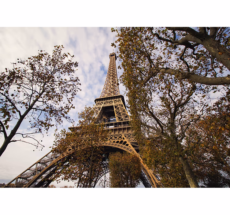 Fotomural parís perspectiva escénica torre eiffel - TenVinilo