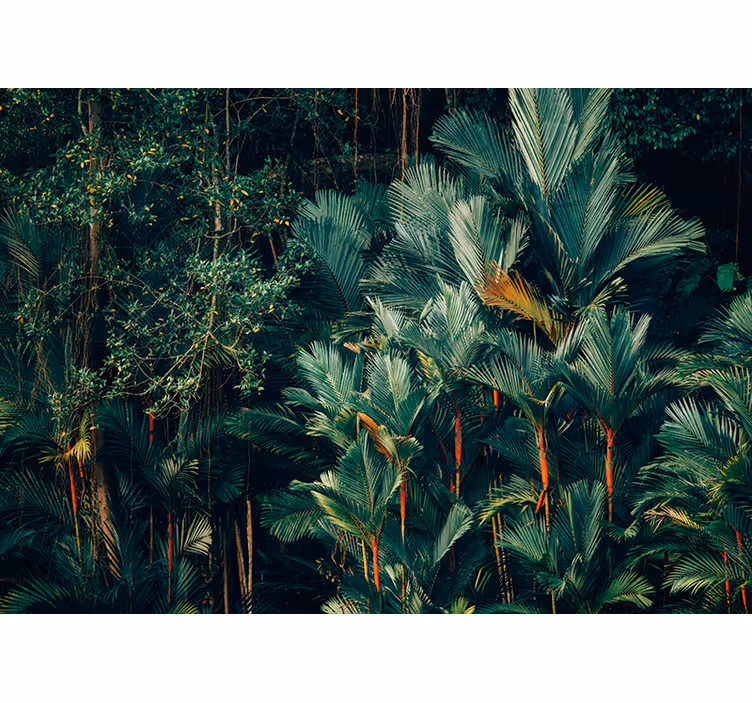 Fotomural naturaleza hojas de palma exótica - TenVinilo