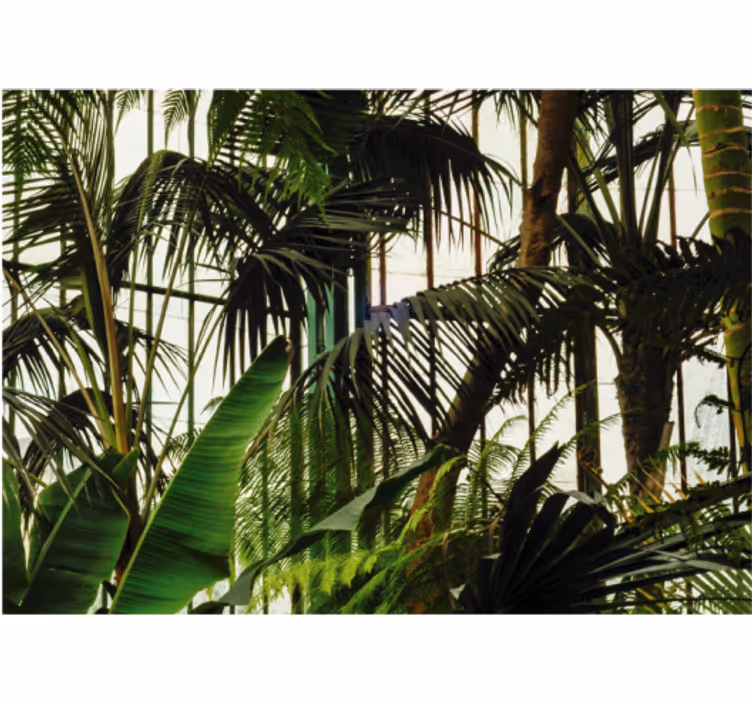 Fotomural naturaleza follaje tropical vivo - TenVinilo
