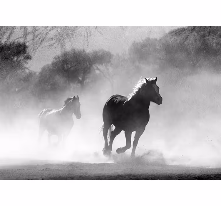 Fotomural animales dos caballos corriendo - TenVinilo