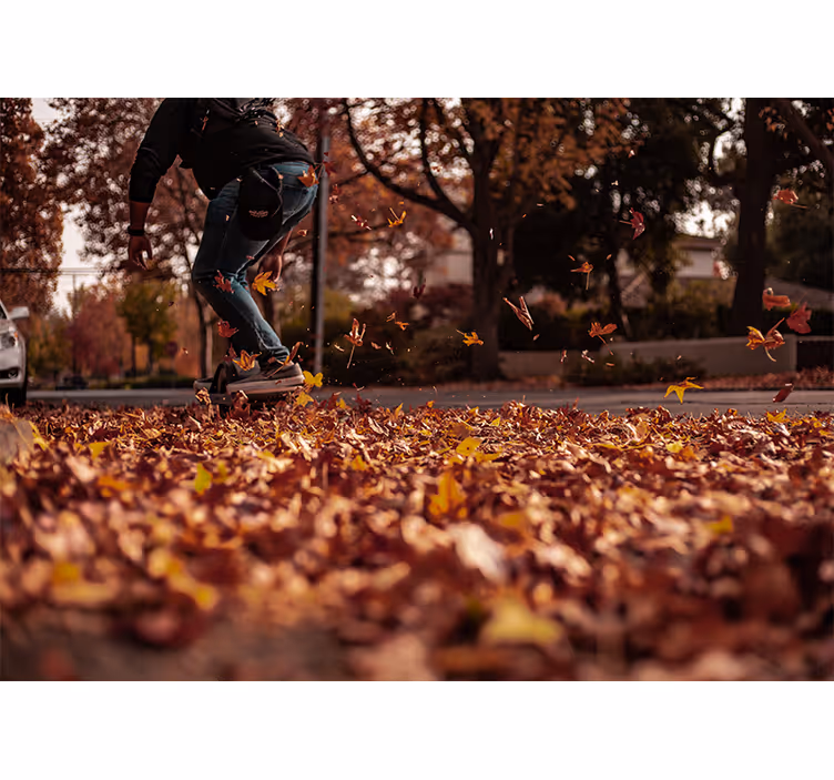 Fotomural ciudad hojas de otoño stkater - TenVinilo