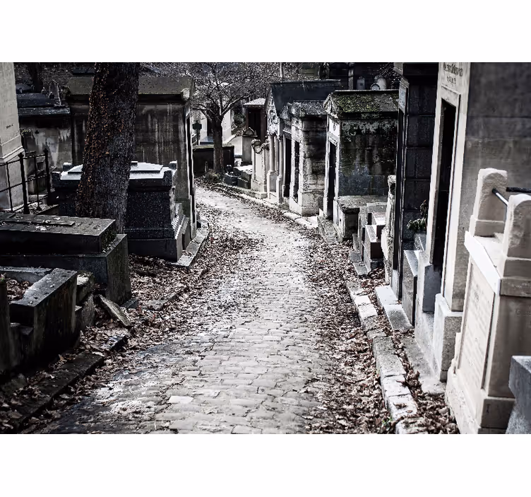 Fotomural ciudad escena del camino del cementerio - TenVinilo