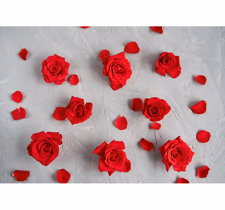 Mural de pared flores pétalos de rosa rojos - TenVinilo
