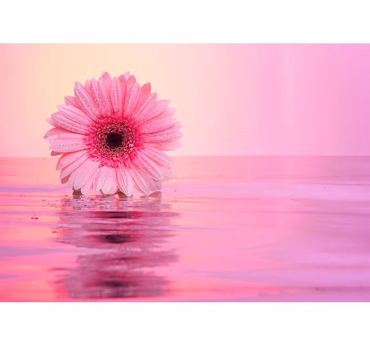 Fotomural de amapolas reflejo de flor rosa - TenVinilo