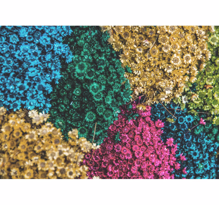 Mural de pared flores patrones florales coloridos - TenVinilo
