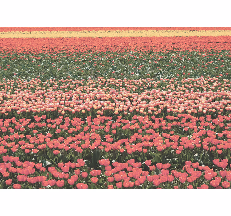 Mural de pared flores paisaje de campo de tulipanes - TenVinilo