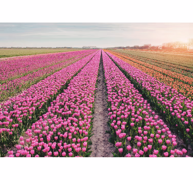 Mural de pared flores paisaje de pradera de tulipanes - TenVinilo