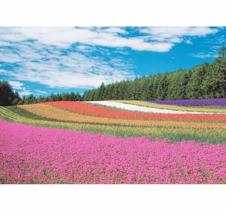 Mural de pared flores paisaje floral vibrante - TenVinilo