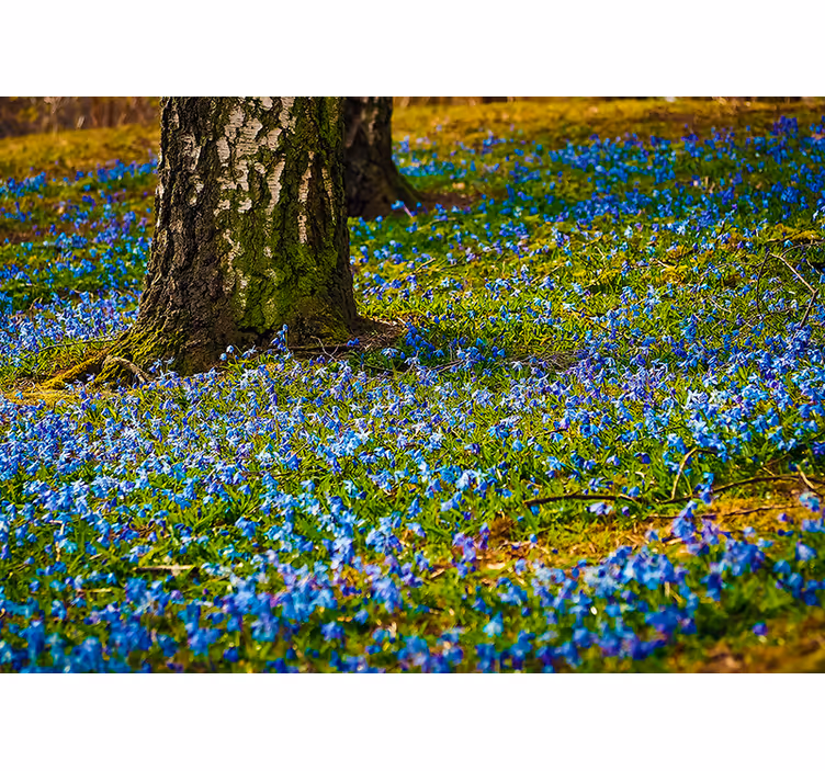 Mural de pared flores paisaje de campanillas - TenVinilo