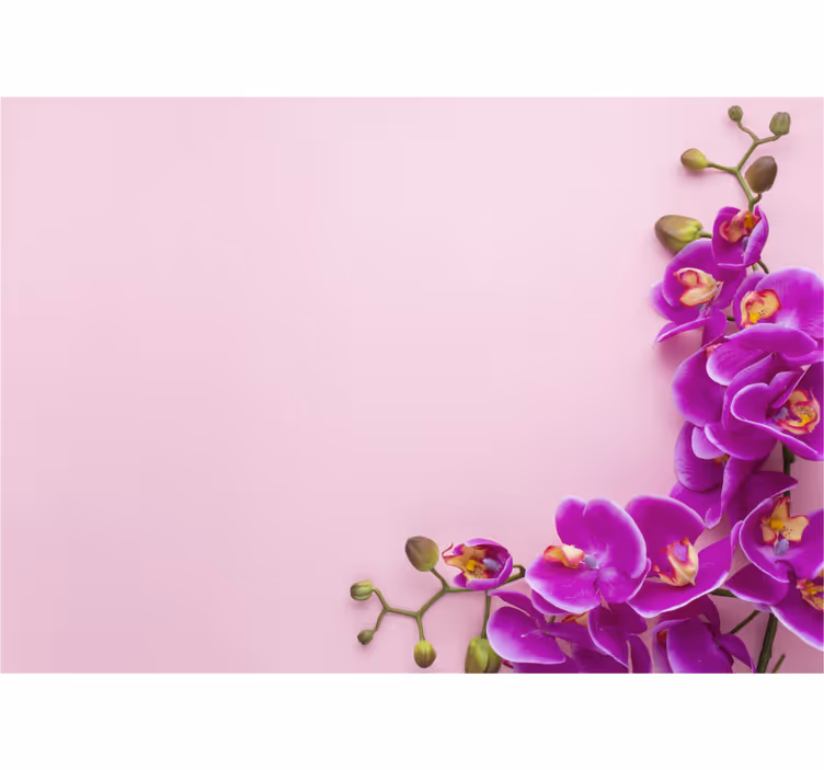 Fotomural de orquídeas arreglo floral de orquídeas - TenVinilo