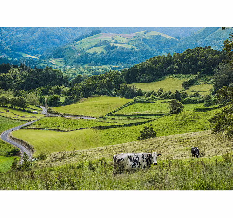Papel pintado paisaje campos verdes rodantes - TenVinilo