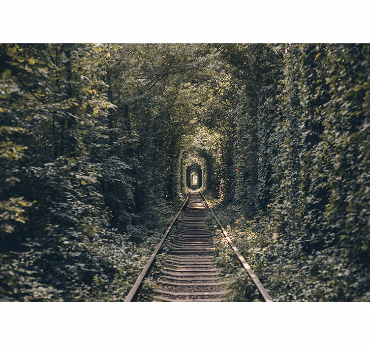 Papel pintado paisaje túnel de tren naturaleza - TenVinilo