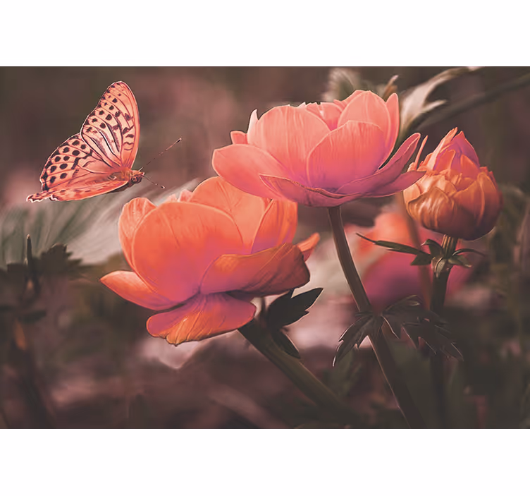 Mural de pared flores mariposa sobre flores - TenVinilo
