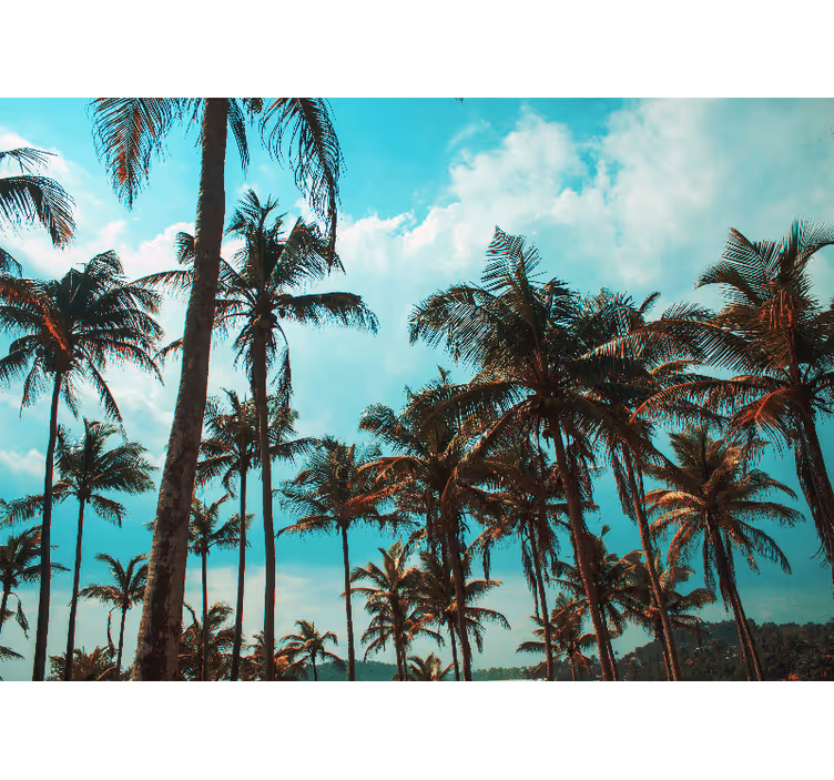 Fotomural naturaleza paraíso de palmeras - TenVinilo