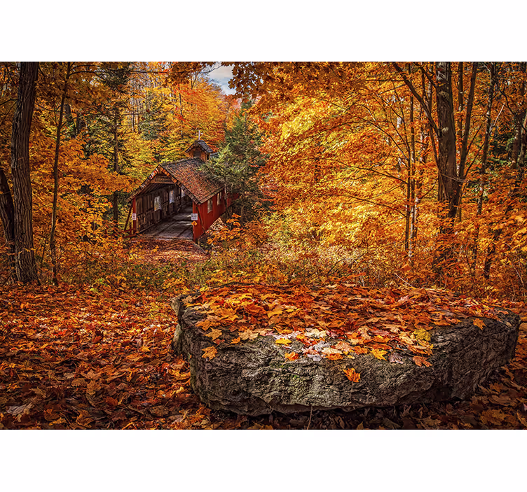 Papel pintado paisaje puente cubierto en otoño - TenVinilo