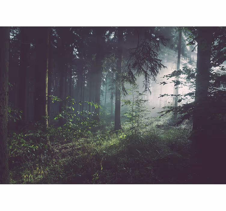 Fotomural naturaleza paisaje de bosque verdeante - TenVinilo