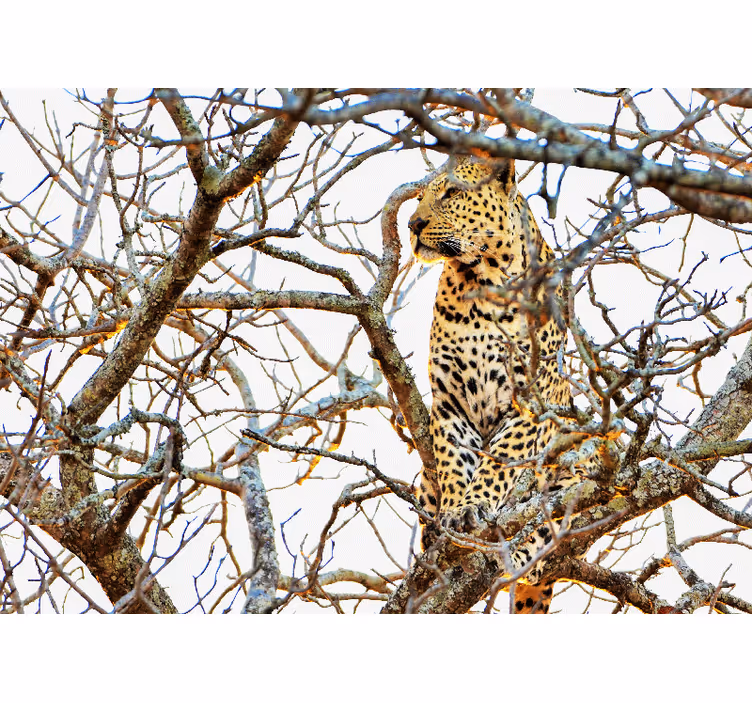 Fotomural animal leopardo entre ramas - TenVinilo