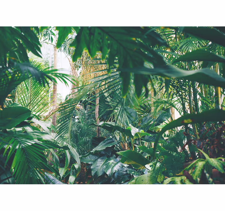 Fotomural selva oasis tropical exuberante - TenVinilo