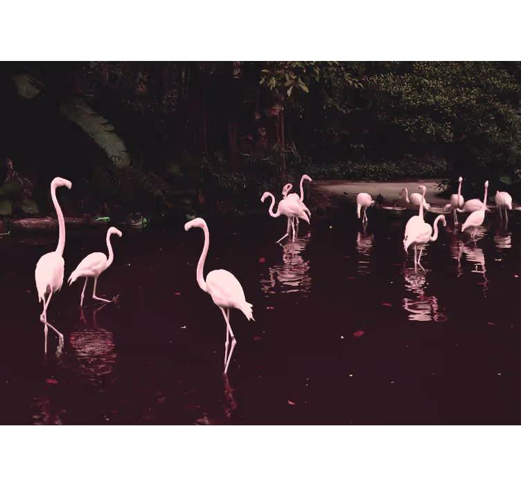 Fotomural despacho reunión de flamencos elegantes - TenVinilo