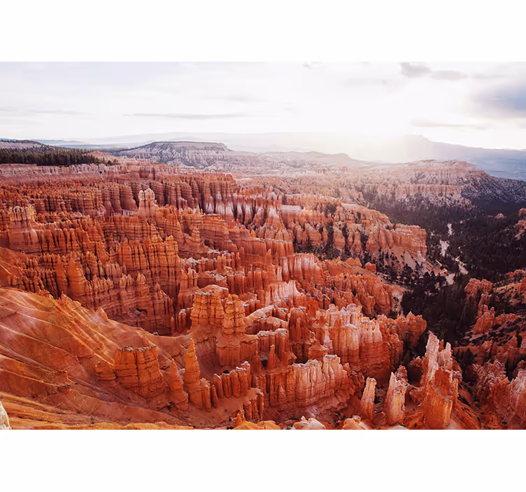 Papel pintado paisaje vista del cañón bryce - TenVinilo