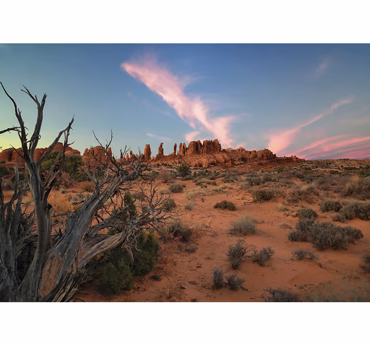 Papel pintado paisaje formaciones rocosas del desierto - TenVinilo