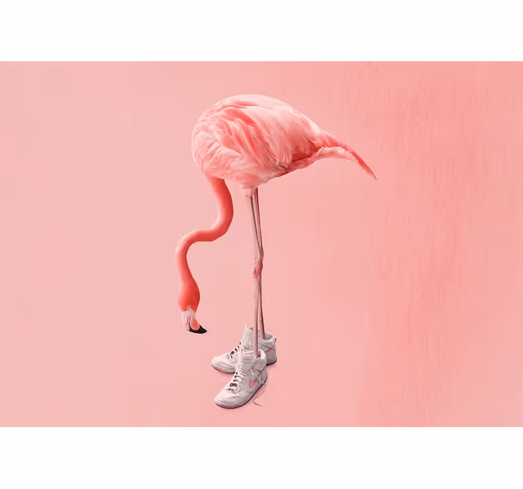 Fotomural animal flamenco con zapatillas - TenVinilo