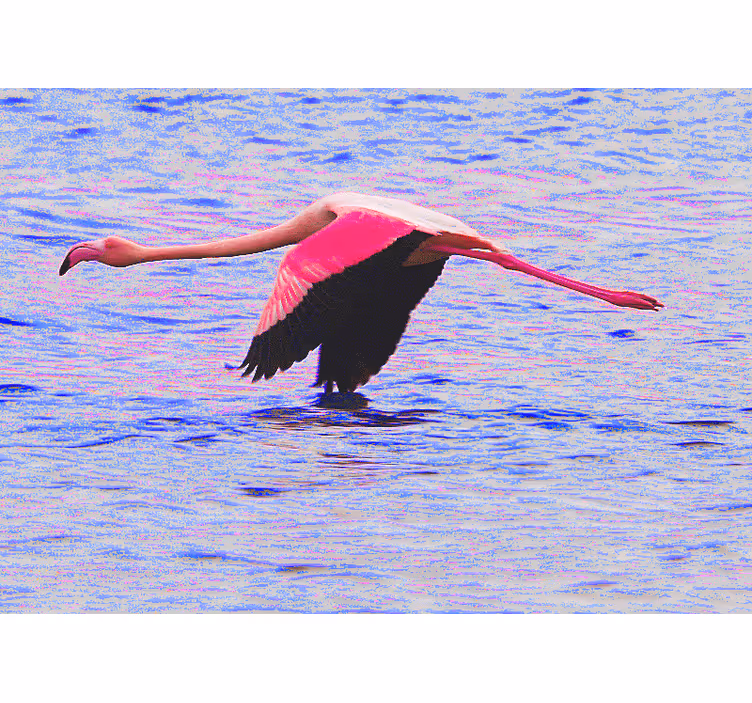 Fotomural animal flamenco en vuelo - TenVinilo