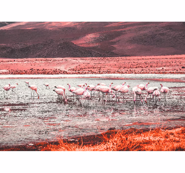 Fotomural animal escena de hábitat de flamencos - TenVinilo