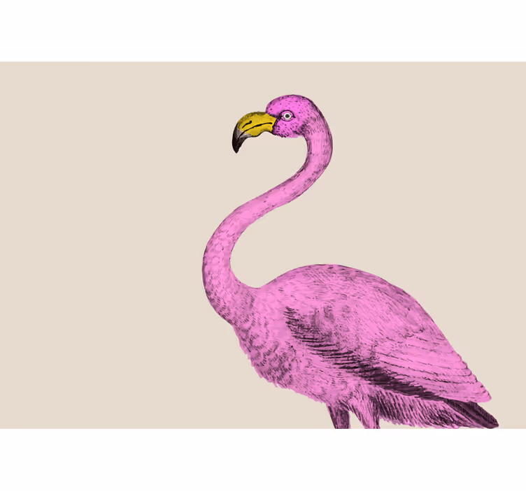 Fotomural animales elegancia flamenco rosa - TenVinilo