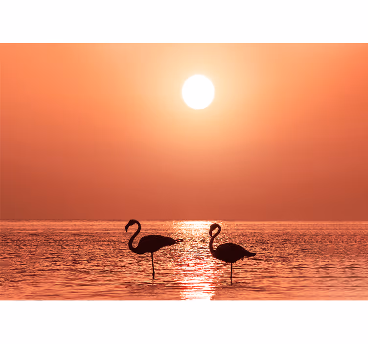 Fotomural animales escena de flamencos al atardecer - TenVinilo
