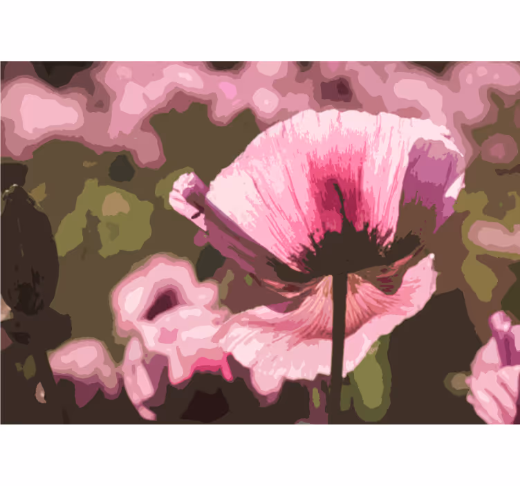 Fotomural de amapolas flor de amapola rosa - TenVinilo