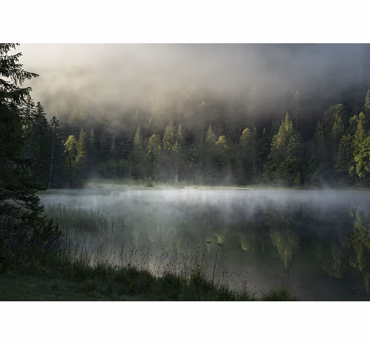 Fotomural naturaleza lago serene y brumoso - TenVinilo