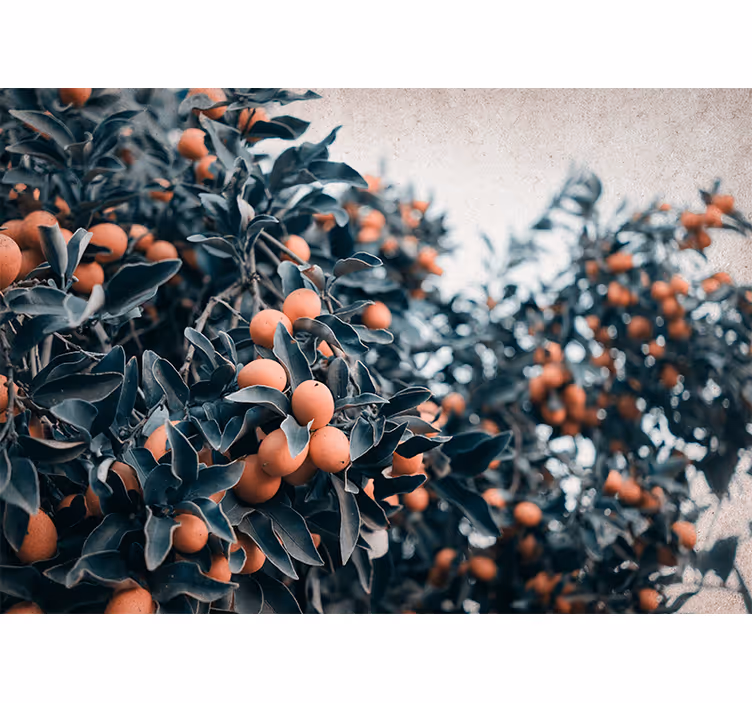Mural de pared flores rama de frutas cítricas - TenVinilo
