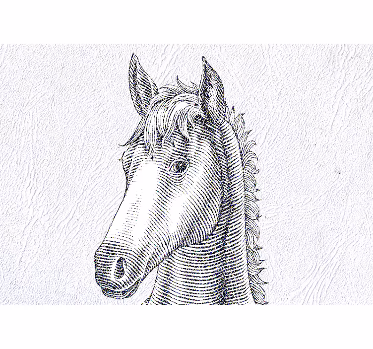 Fotomural animales retrato de caballo elegante - TenVinilo