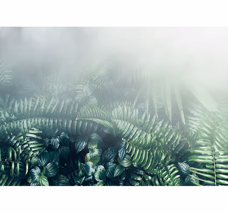 Fotomural naturaleza paisaje de vegetación viva - TenVinilo