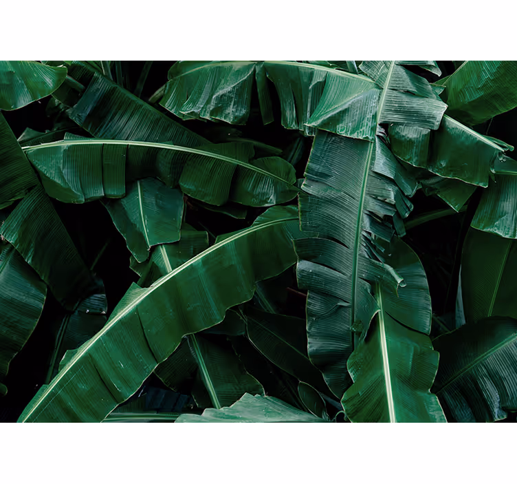Fotomural naturaleza follaje verde vibrante - TenVinilo