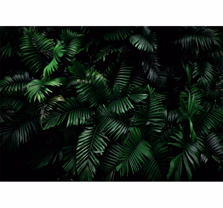 Fotomural selva follaje verde vibrante - TenVinilo
