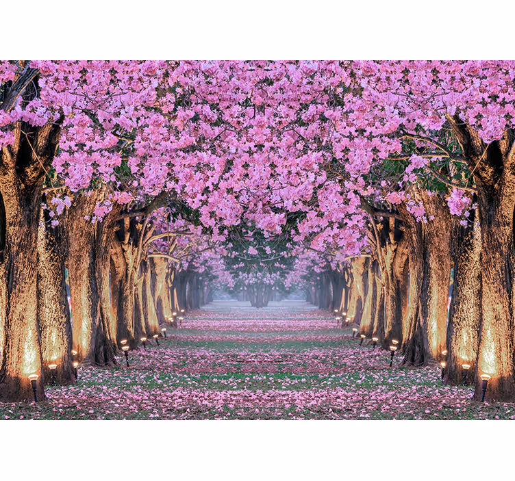 Mural de pared flores sendero de flores de cerezo - TenVinilo