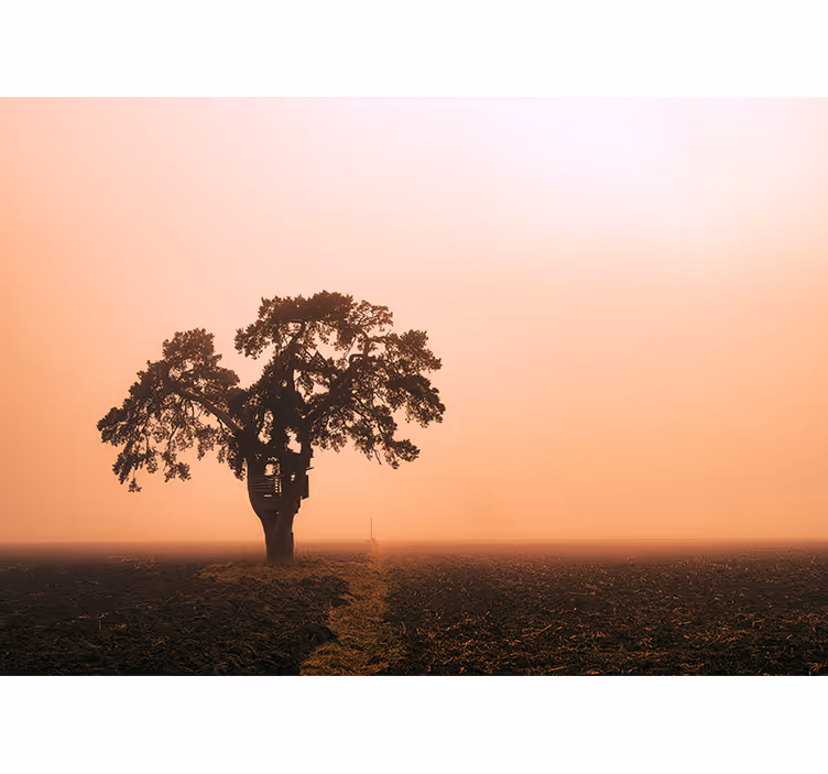 Fotomural africano majestuoso árbol de sabana - TenVinilo