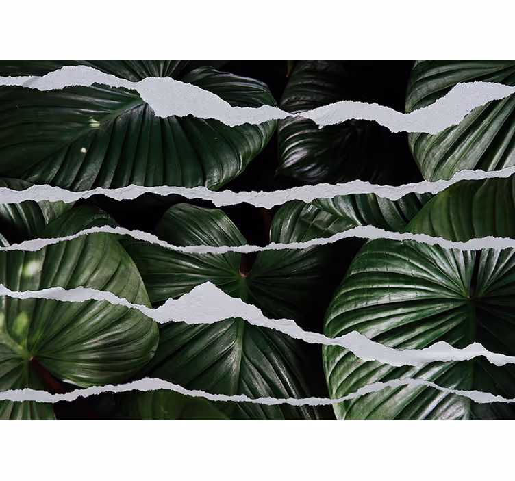 Papel pintado naturaleza diseño de hojas lujosas - TenVinilo