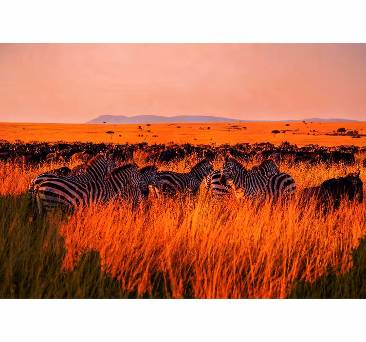 Papel pintado naturaleza zebras en el serengeti - TenVinilo