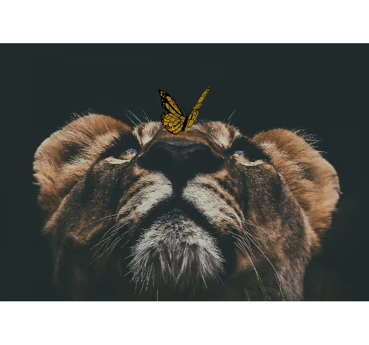 Fotomural león cachorro con mariposa - TenVinilo