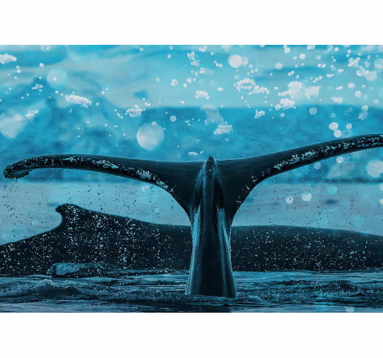 Fotomural animales aleta de ballena salpicando - TenVinilo