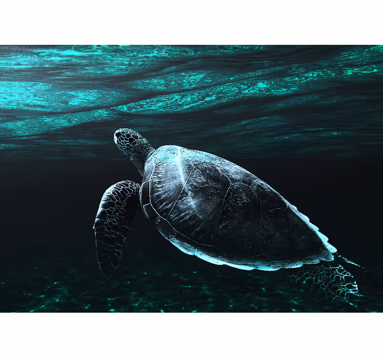 Fotomural animales tortuga marina majestuosa - TenVinilo