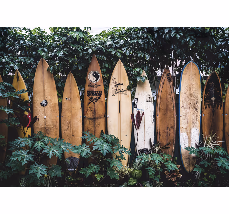Fotomural vehículo tablas de surf en exhibición - TenVinilo