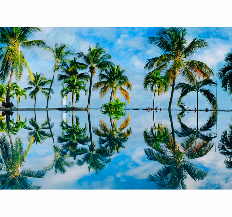 Fotomural naturaleza reflejos de palmeras lujosas - TenVinilo