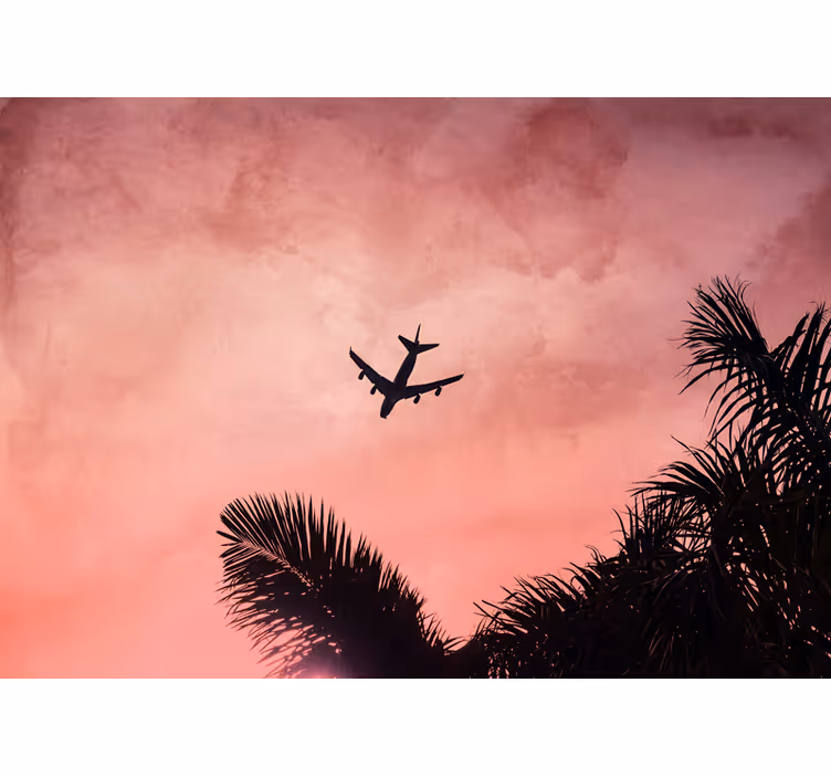 Fotomural vehículo silueta de avión al atardecer - TenVinilo