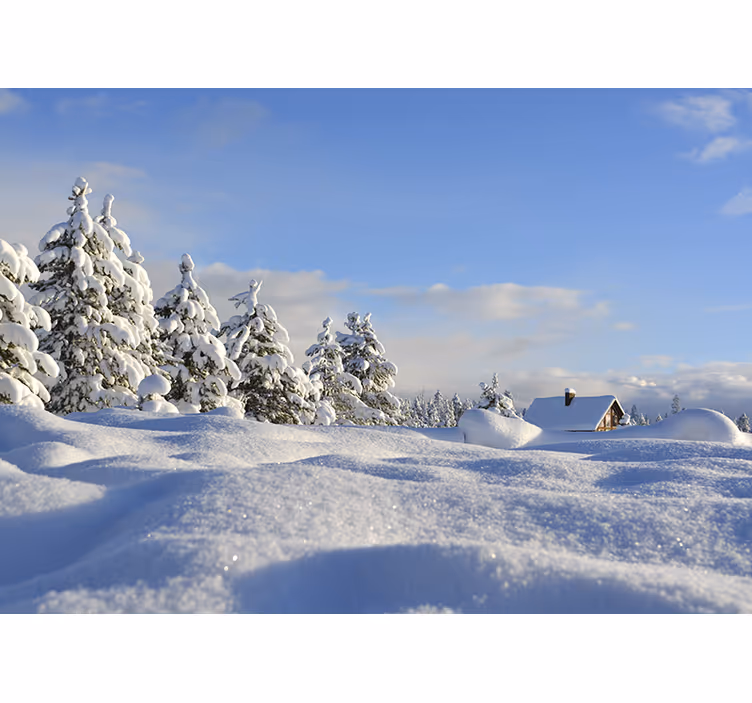 Papel pintado paisaje escena invernal nevada - TenVinilo