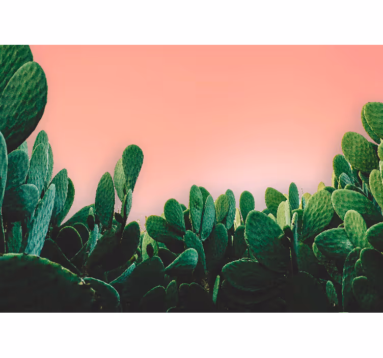 Fotomural naturaleza paisaje de cactus - TenVinilo